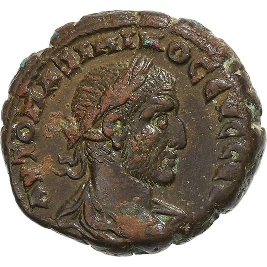 Egitto, 
  
  Filippo I, 
  
  Tetradramma