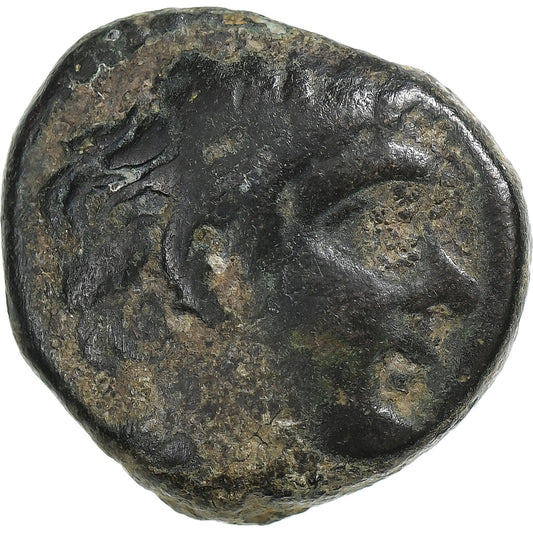 Cilicia, 
  
  Pompeo "Il Grande", 
  
  Æ Unità