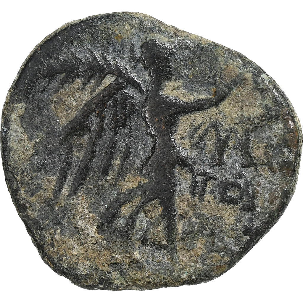Cilicia, 
  
  Pompeo "Il Grande", 
  
  Æ Unità