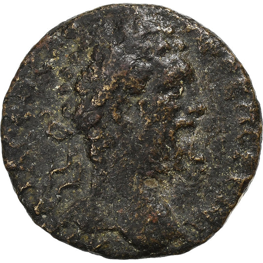 Cilicia, 
  
  Settimio Severo, 
  
  Æ Unità
