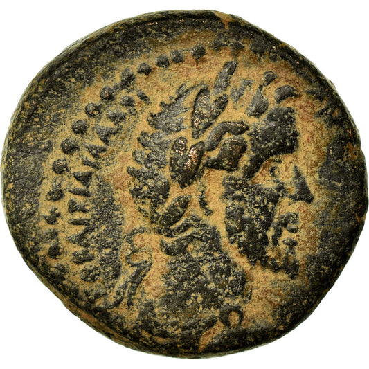 Coniare, 
  
  Cirrestica, 
  
  Antonino Pio